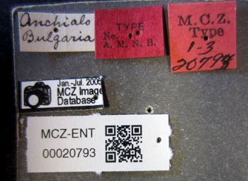 Media type: image;   Entomology 20793 Aspect: labels
